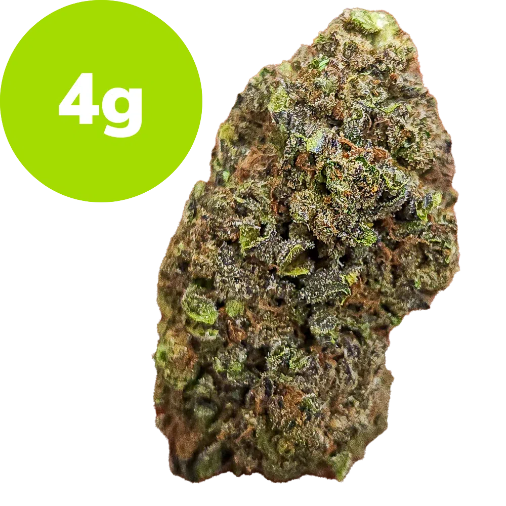 4g – G41 – Popcorn Buds (Hybrid) 4g – G41 – Popcorn Buds (Hybrid)
