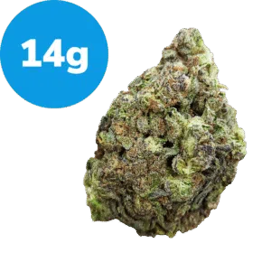 14g - GushMintz (Indica)