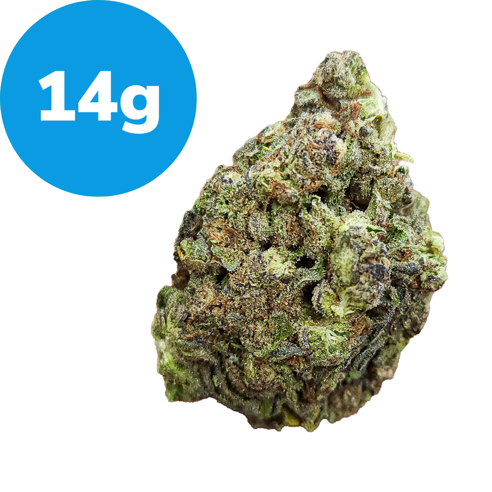 14g – GushMintz (Indica) 14g – GushMintz (Indica)