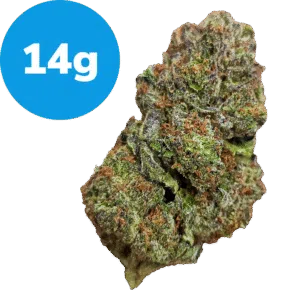 14g - Jelly Roll (Indica)