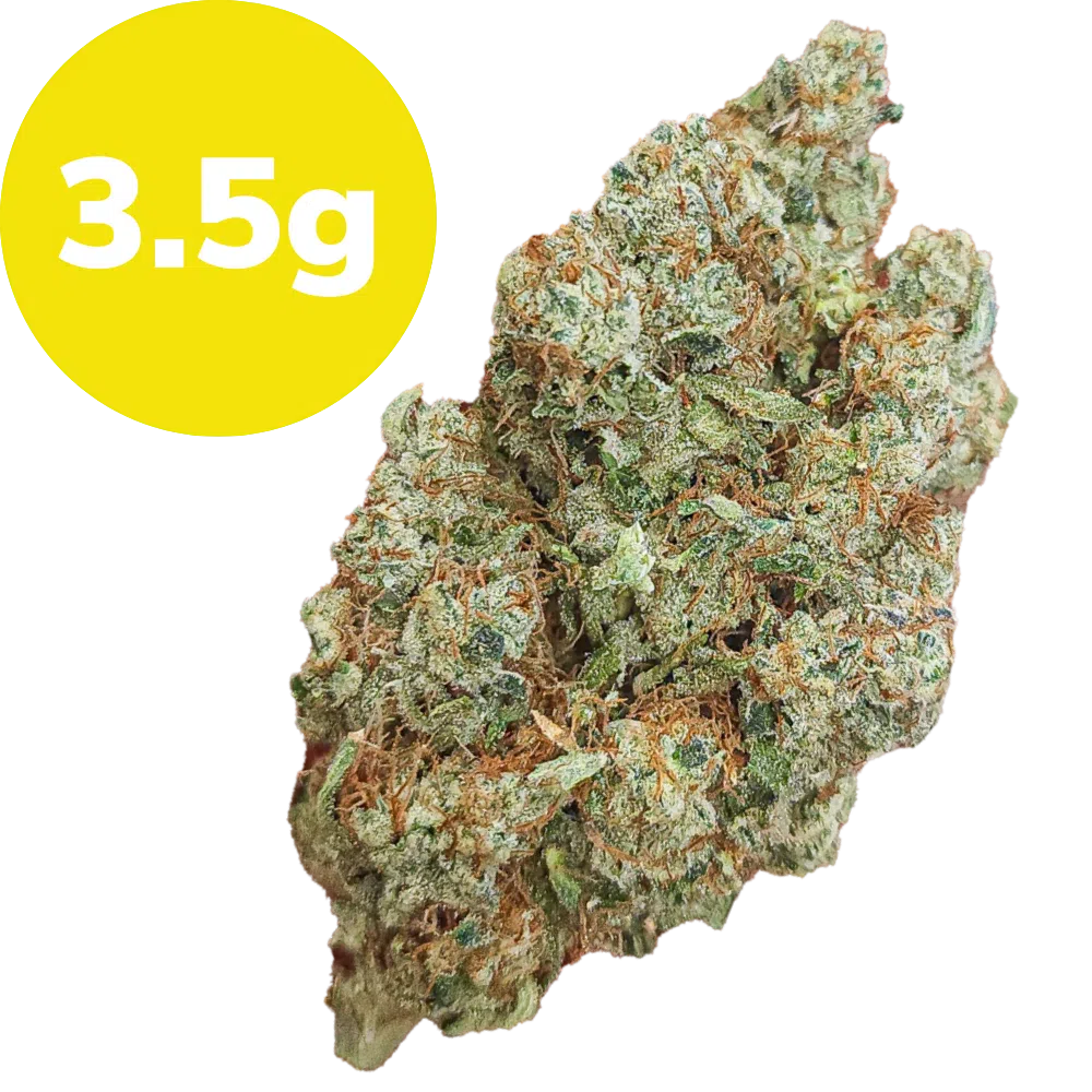 3.5g – Lemon Tango (Sativa) 3.5g – Lemon Tango (Sativa)