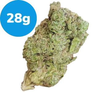 28g - Romulan (Indica)