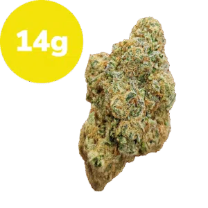 14g - Smash Burger (Sativa)