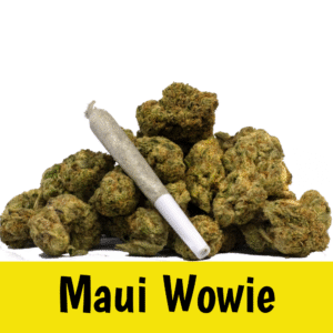 Premium Joint – Maui Wowie – 0.8g (Sativa) Premium Joint - Maui Wowie - 0.8g (Sativa)