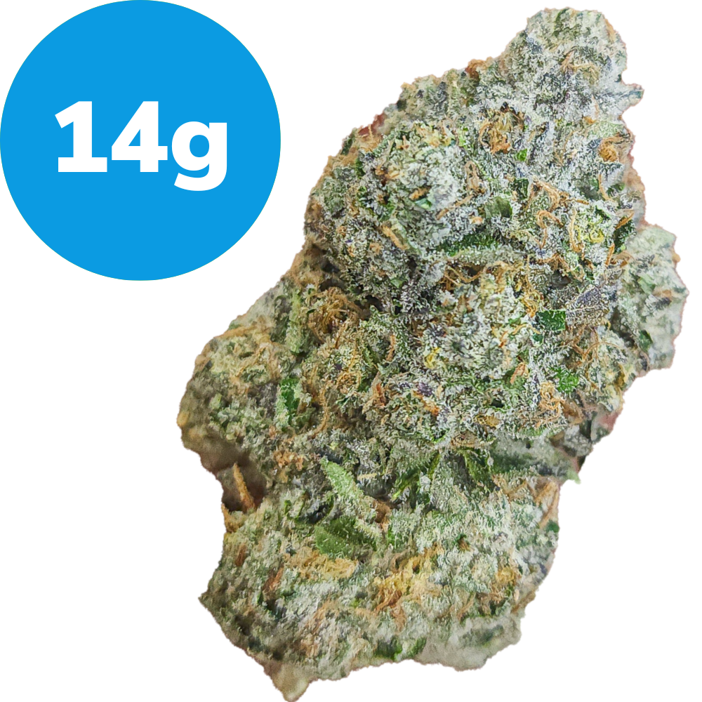 14g – Alien OG (Indica) 14g – Alien OG (Indica)