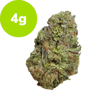 4g - Triple Cake - Popcorn Buds - (Hybrid)