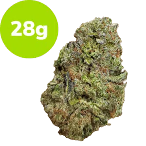 28g - Triple Cake (Hybrid)