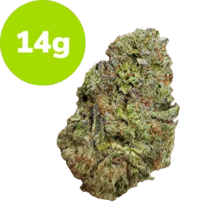 14g - Triple Cake (Hybrid)