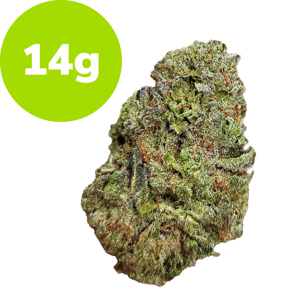 14g – Triple Cake (Hybrid) 14g – Triple Cake (Hybrid)