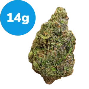 14g - Venom Runtz (Indica)
