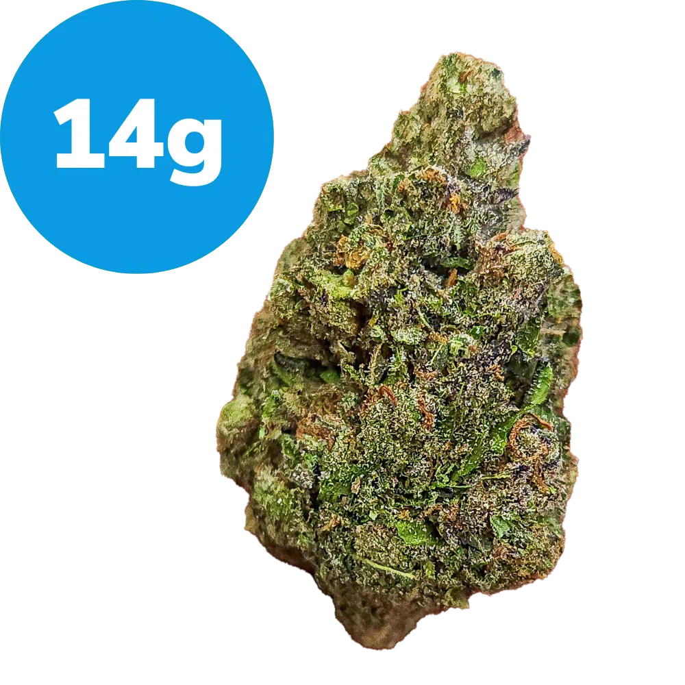 14g – Venom Runtz (Indica) 14g – Venom Runtz (Indica)