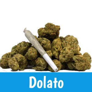 Premium Joint – Dolato – 0.8g (Indica) Premium Joint - Dolato - 0.8g (Indica)