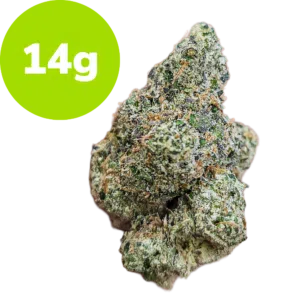 14g - Ameretto Di Limon (Hybrid)