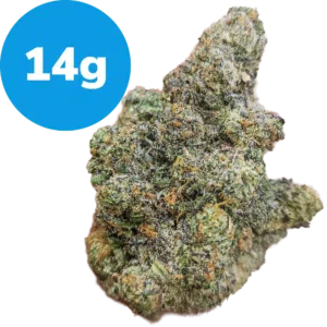 14g – Black Cherry OG (Indica) 14g - Black Cherry OG (Indica)