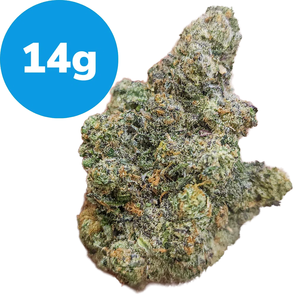 14g – Black Cherry OG (Indica) 14g – Black Cherry OG (Indica)