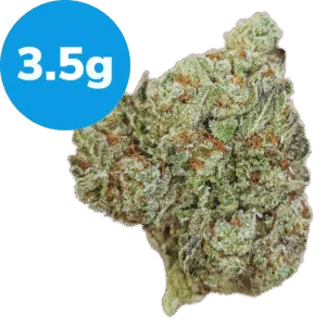 3.5g – Violet Fog (Indica) 3.5g - Violet Fog (Indica)