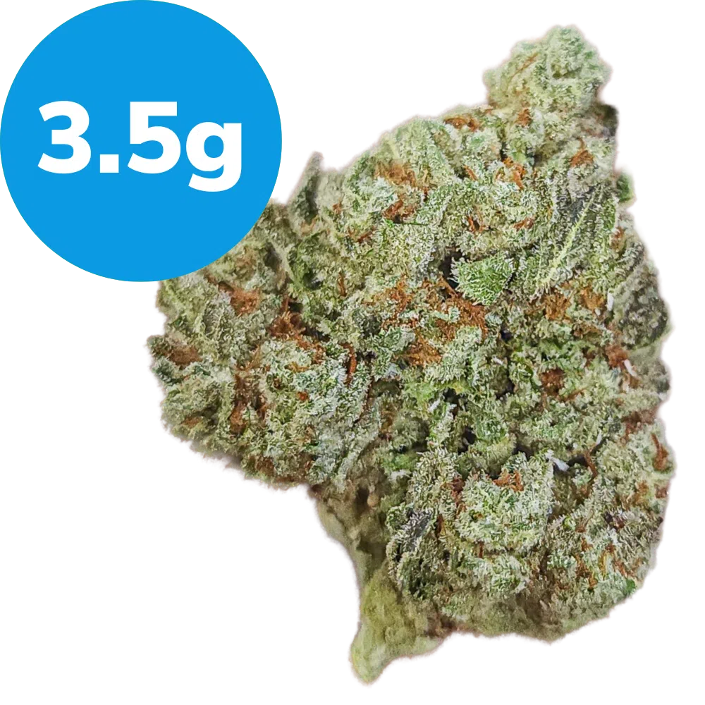 3.5g – Violet Fog (Indica) 3.5g – Violet Fog (Indica)