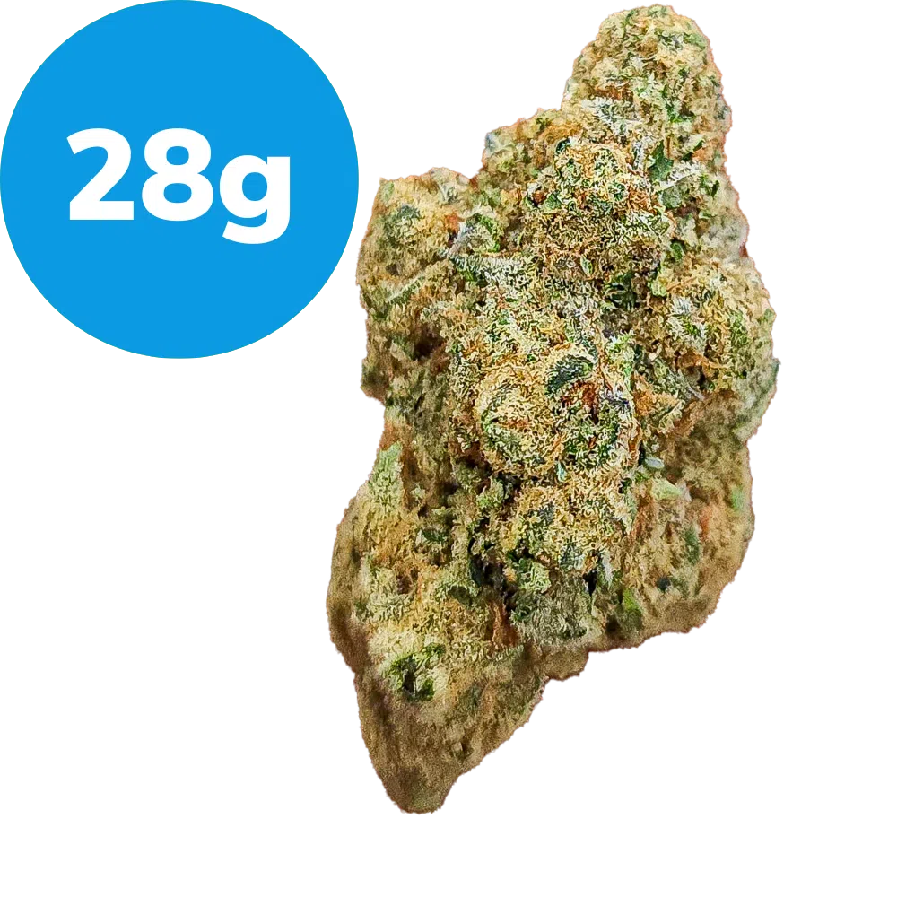 28g – Dolato (Indica) 28g – Dolato (Indica)