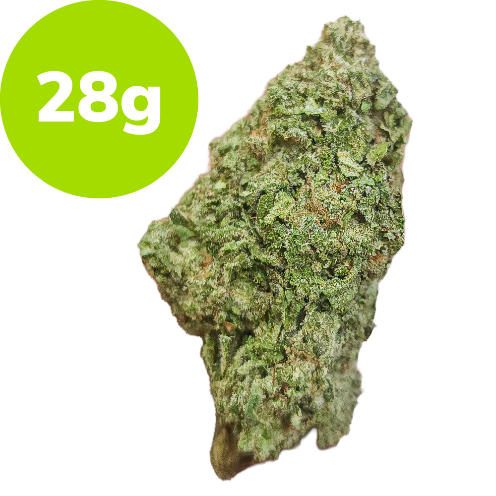 28g – Bango (Hybrid)