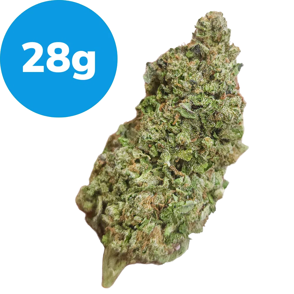 28g – Slim Reaper (Indica) 28g – Slim Reaper (Indica)