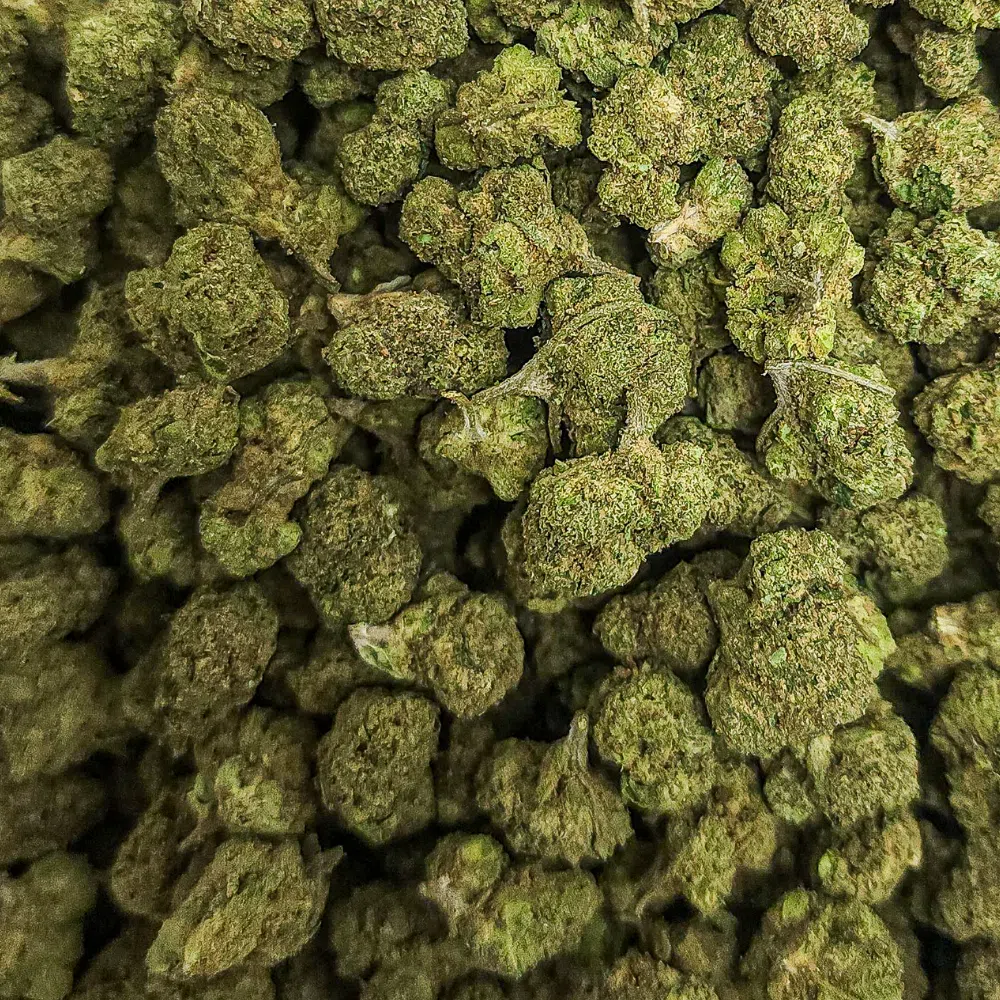 28g – Super Runtz Popcorn – Smalls (Hybrid) 28g – Super Runtz Popcorn – Smalls (Hybrid)