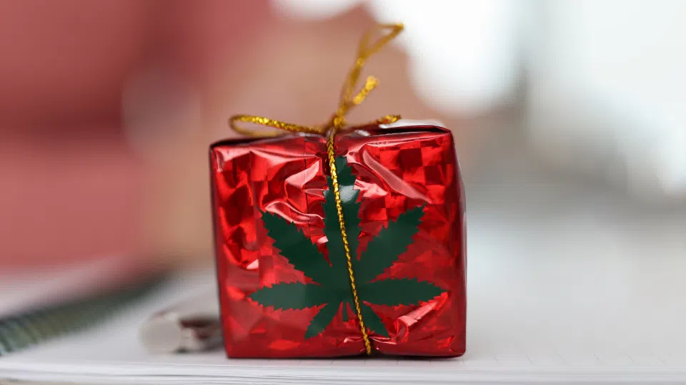 Top Cannabis Gift Ideas for the Holidays (Edibles, Vapes, and More)