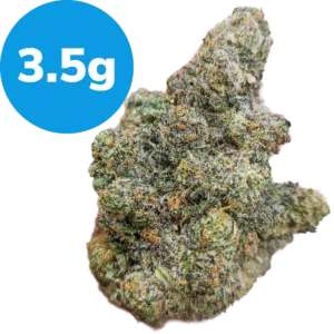 3.5g – Black Cherry OG (Indica) 3.5g - Black Cherry OG (Indica)