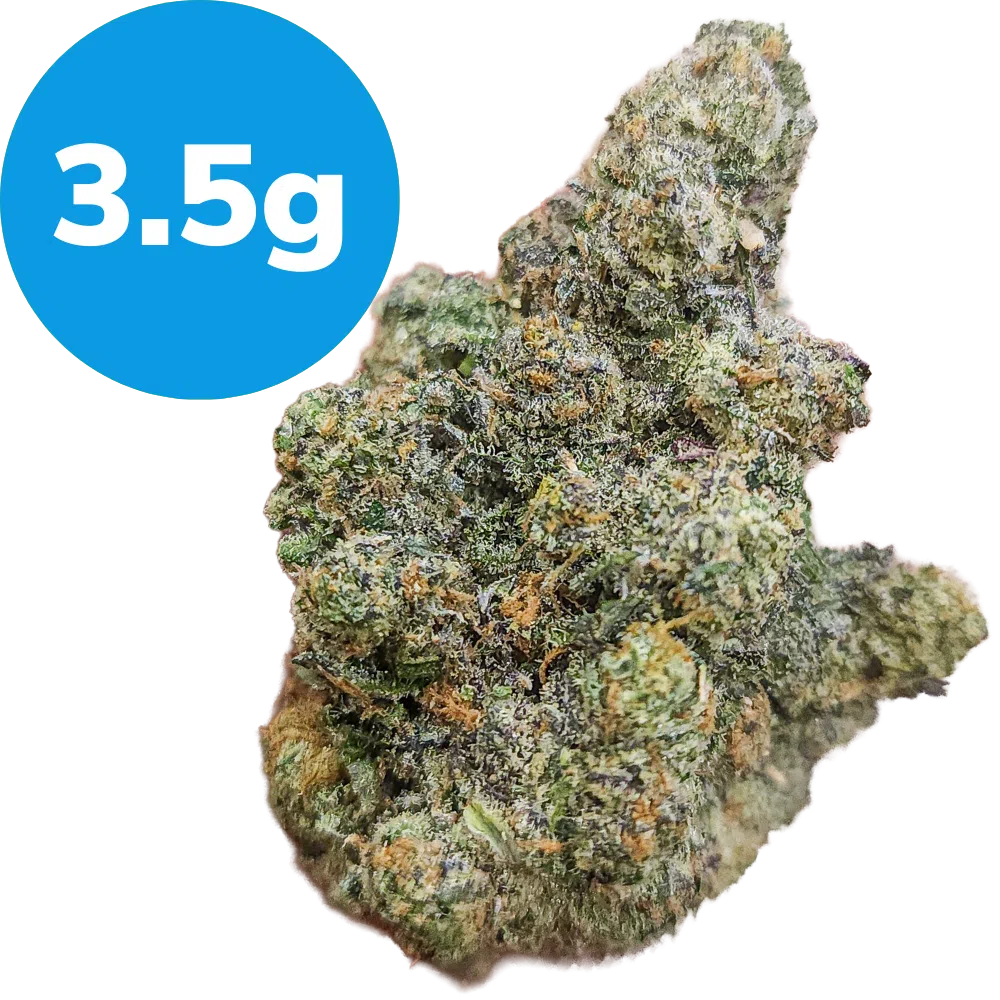 3.5g – Black Cherry OG (Indica) 3.5g – Black Cherry OG (Indica)