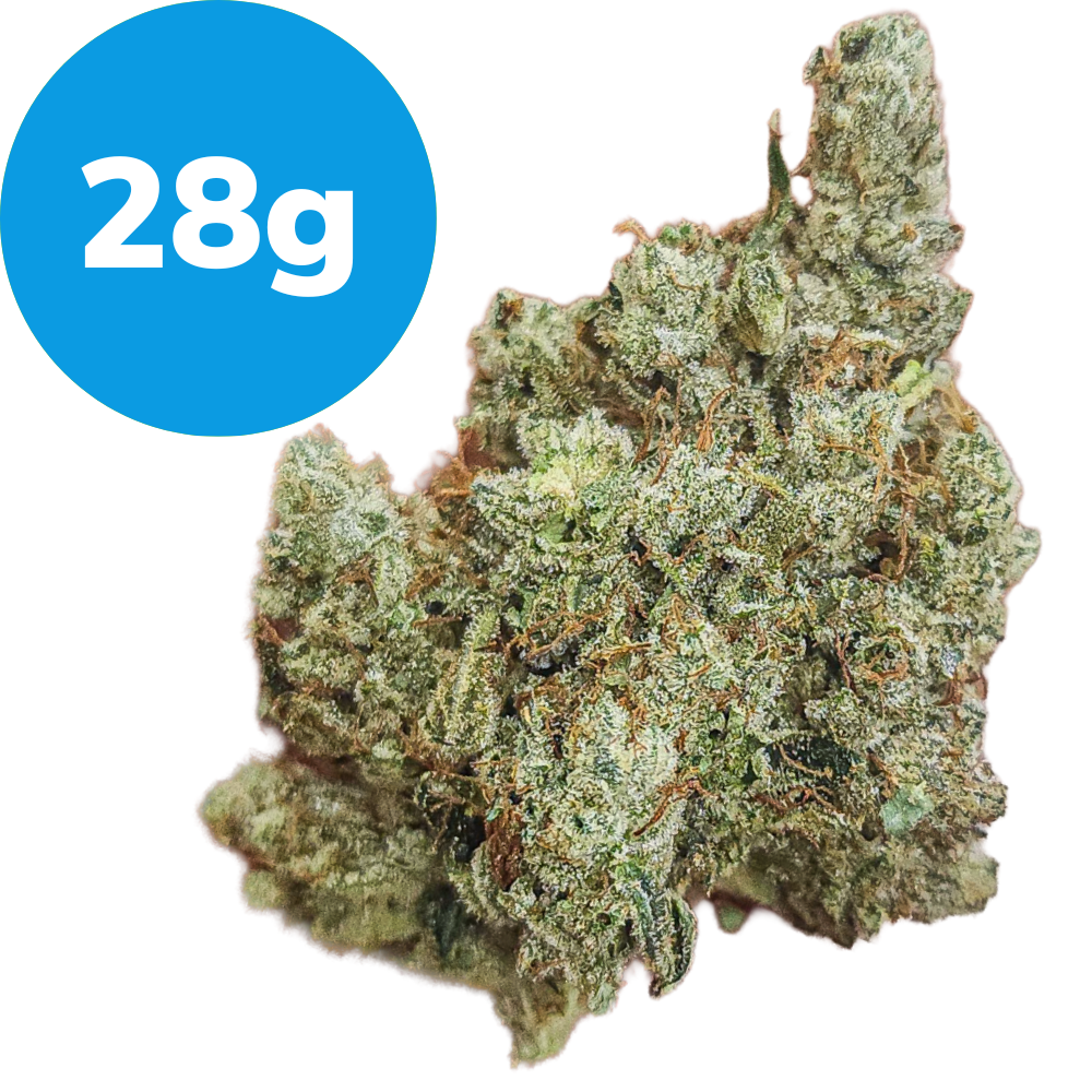 28g – Hellbound Glue (Indica) 28g – Hellbound Glue (Indica)