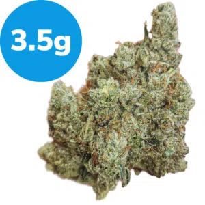 3.5g – Hellbound Glue (Indica) 3.5g - Hellbound Glue (Indica)