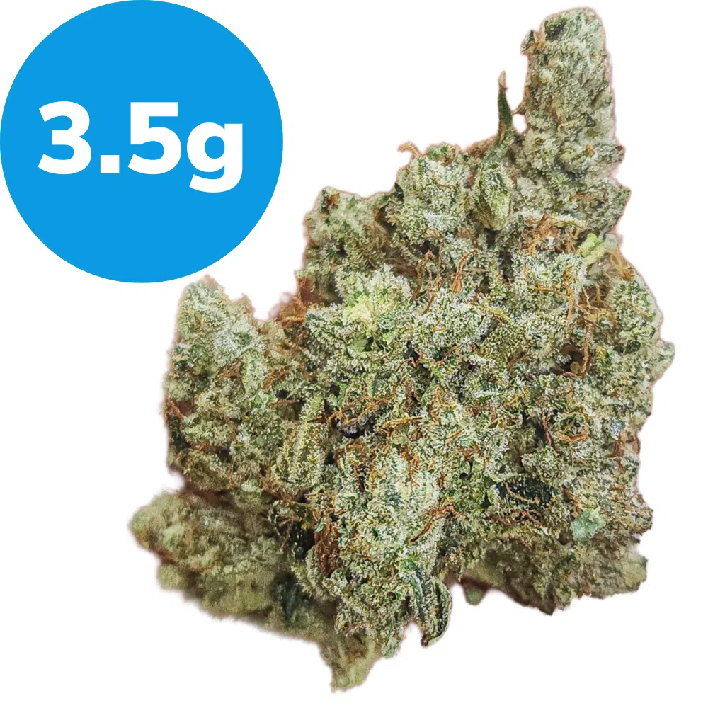 3.5g – Hellbound Glue (Indica) 3.5g – Hellbound Glue (Indica)