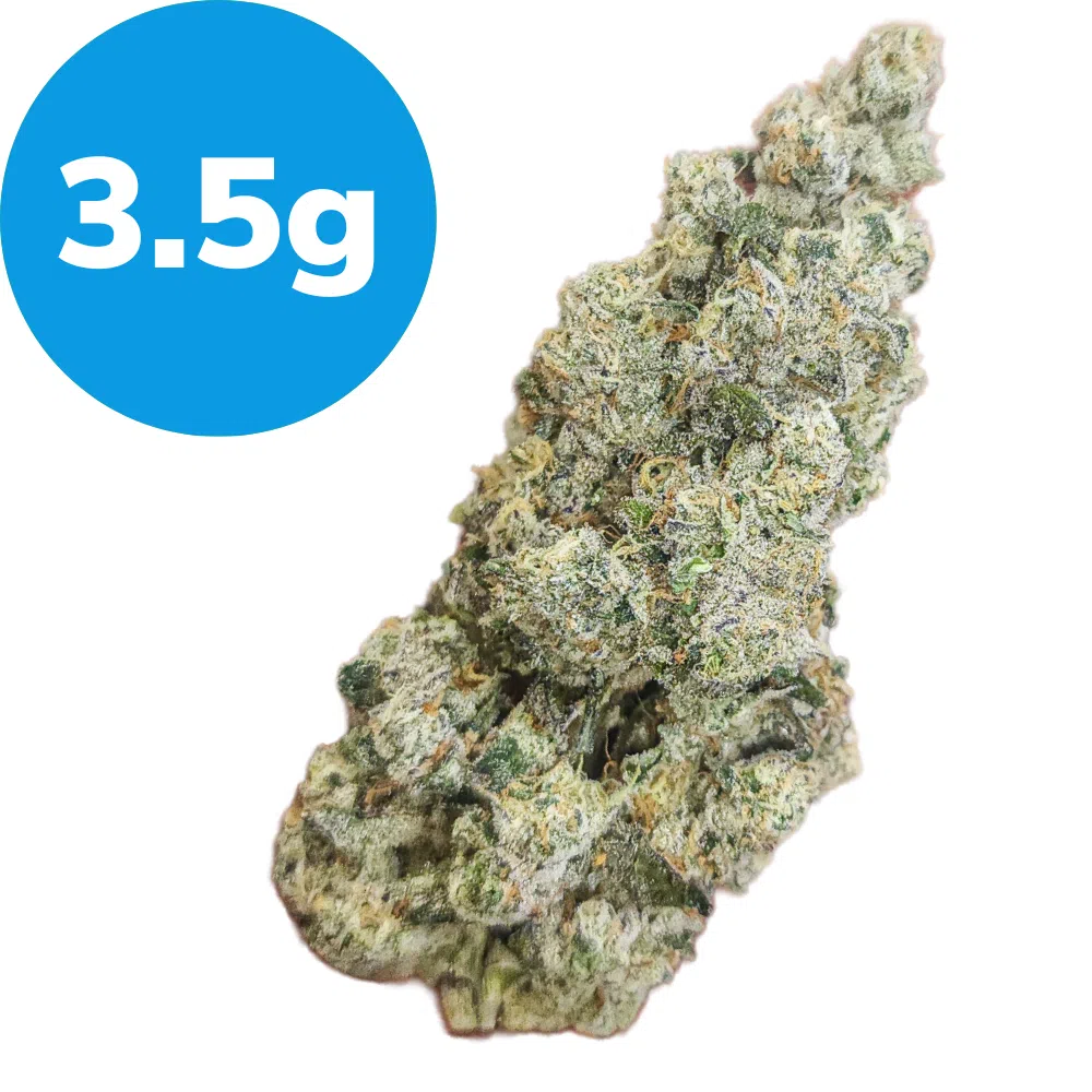 3.5g – High Octane x Long Island (Indica) 3.5g – High Octane x Long Island (Indica)