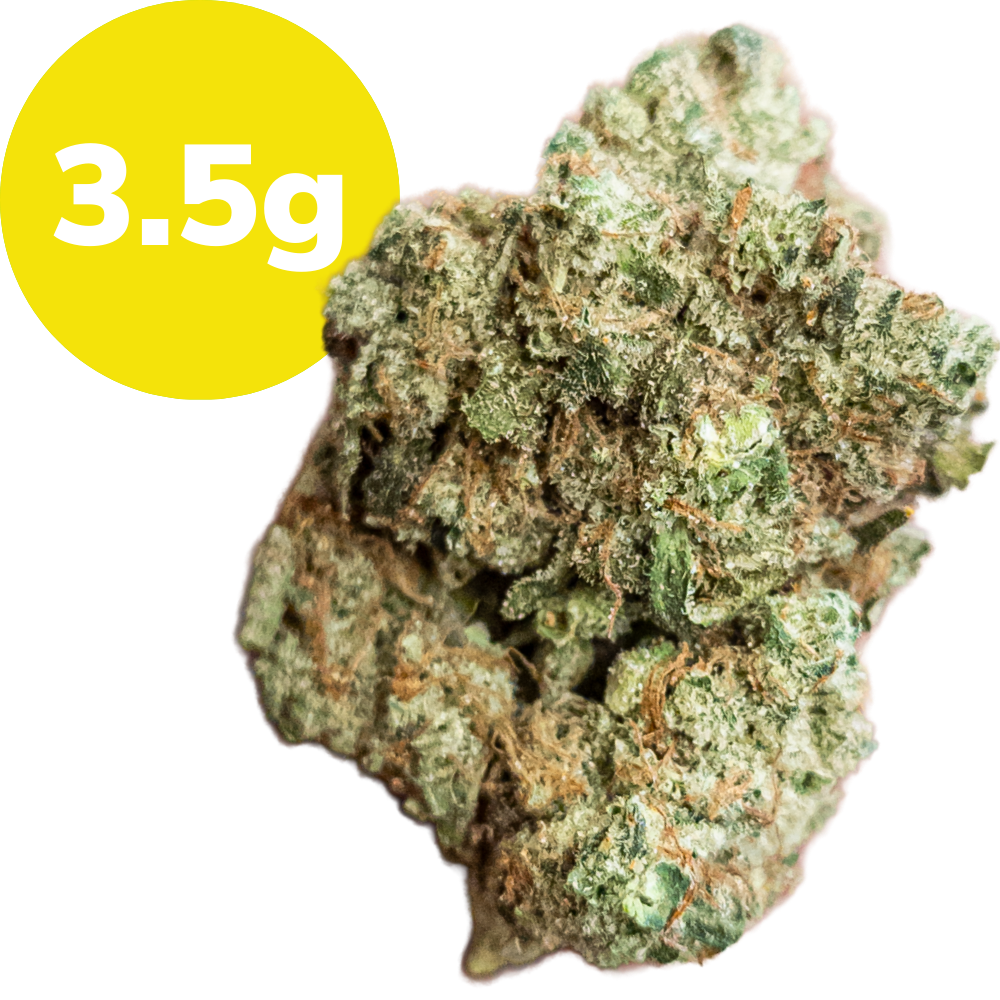 3.5g – Pacific Dreams (Sativa) 3.5g – Pacific Dreams (Sativa)