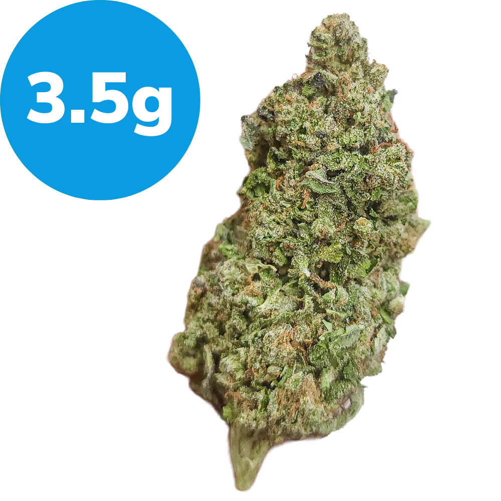 3.5g – Slim Reaper (Indica) 3.5g – Slim Reaper (Indica)
