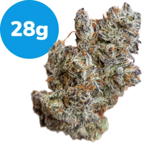 28g – UK Cheese (Indica) 28g - UK Cheese (Indica)