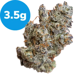 3.5g – UK Cheese (Indica) 3.5g - UK Cheese (Indica)