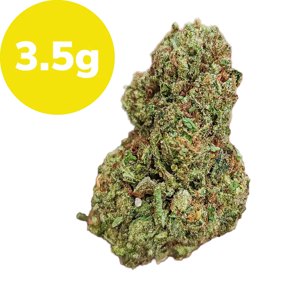 3.5g – Sour Diesel (Sativa) 3.5g – Sour Diesel (Sativa)