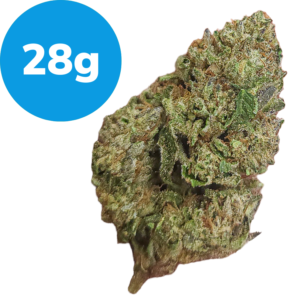 28g – Animal Tsunami (Indica)