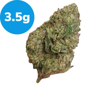 3.5g - Animal Tsunami (Indica)