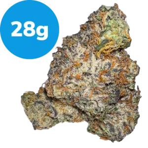 28g – French Lotus by Maven Genetics (Indica) 28g - French Lotus by Maven Genetics (Indica)