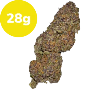 28g – Golden Tangie (Sativa) 28g - Golden Tangie (Sativa)