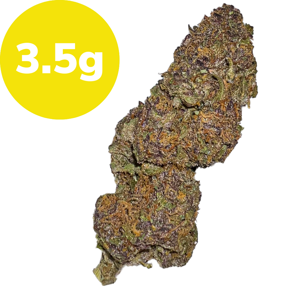 3.5g – Golden Tangie (Sativa) 3.5g – Golden Tangie (Sativa)