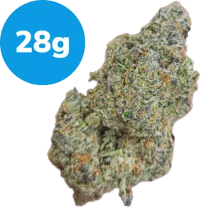 28g – Master Kush (Indica) 28g - Master Kush (Indica)