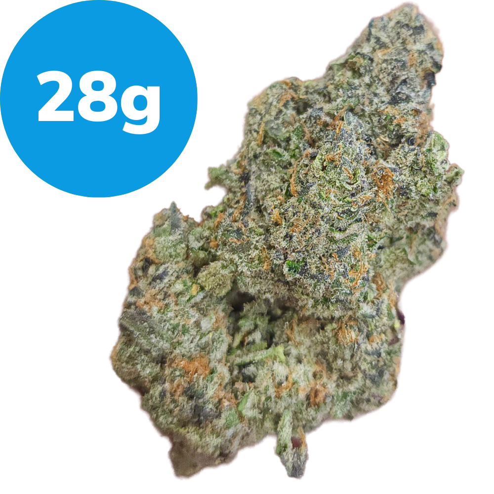 28g – Master Kush (Indica) 28g – Master Kush (Indica)