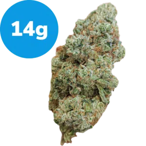 14g - SFV OG Kush (Indica)