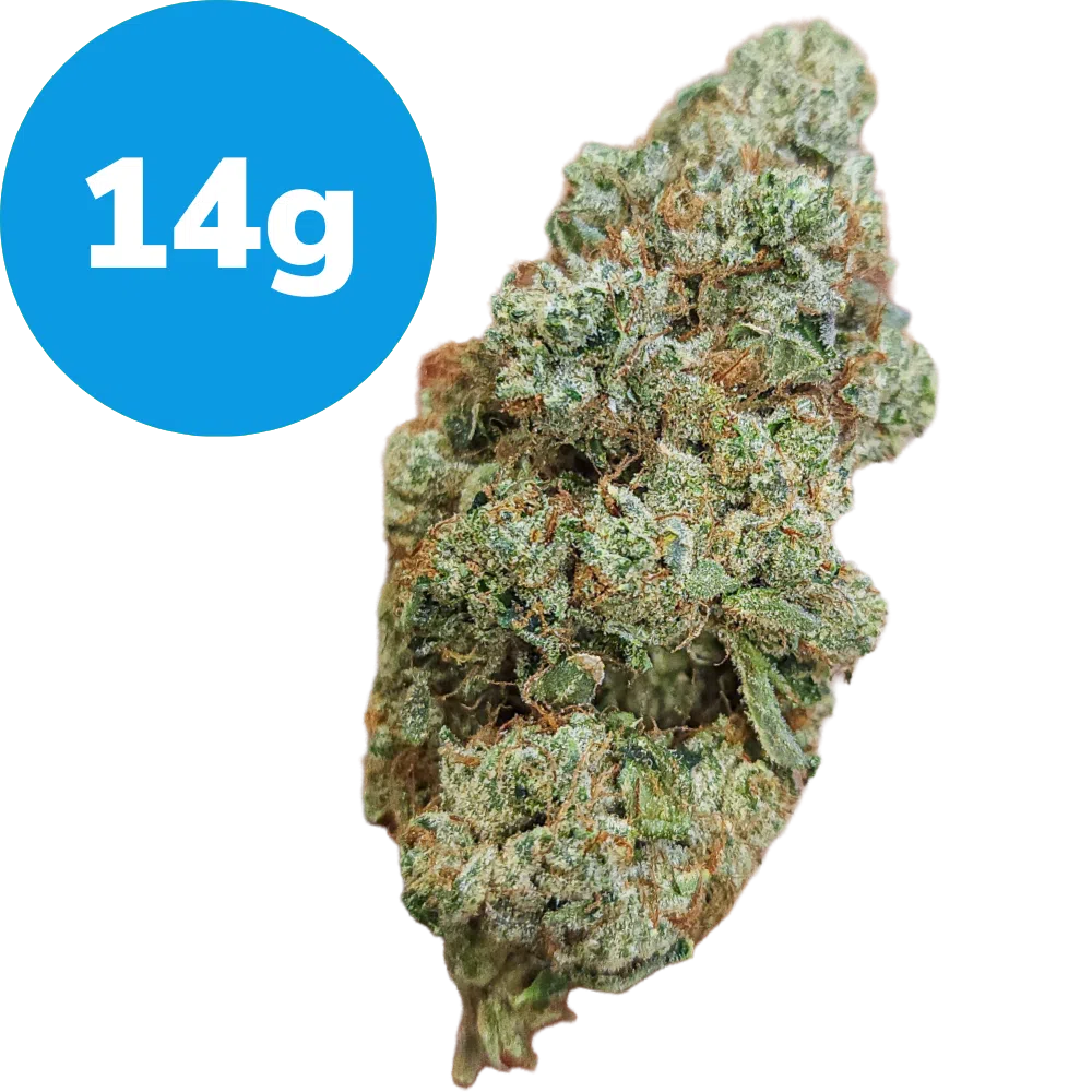 14g – SFV OG Kush (Indica)