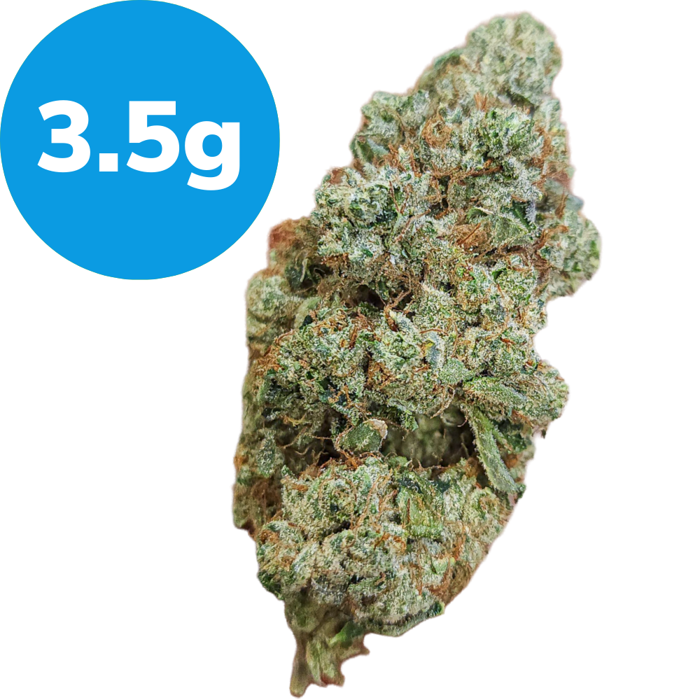 3.5g – SFV OG Kush (Indica)