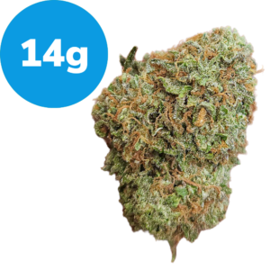 14g – SFV OG Kush (Indica) 14g - SFV OG Kush (Indica)