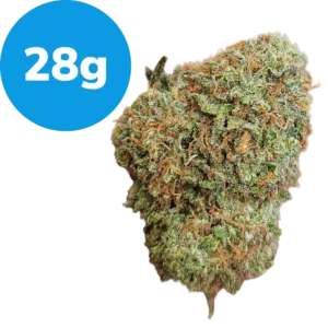 28g – Yellow Zushie – LIVING SOIL (Indica) 28g - Yellow Zushie - LIVING SOIL (Indica)