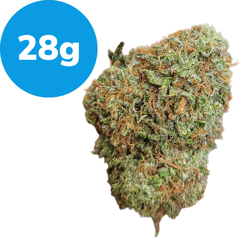 28g – Yellow Zushie – LIVING SOIL (Indica) 28g – Yellow Zushie – LIVING SOIL (Indica)
